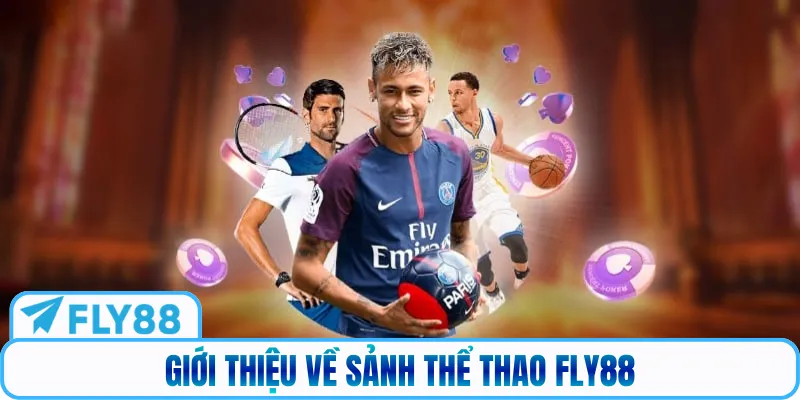 Giới thiệu về sảnh thể thao Fly88